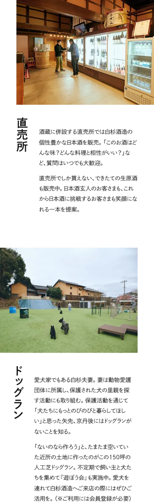 白杉酒造（シラキク）の直売所（スマホ）